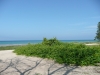 Filename=bea1.JPG
Filesize=1552KiB
Dimensions=2048x1536
Date added=Jul 15, 2011 bea1.JPG
