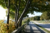 Filename=boardwalk2.JPG
Filesize=2565KiB
Dimensions=2048x1365
Date added=Oct 11, 2011 boardwalk2.JPG