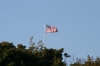 Filename=flag.JPG
Filesize=1464KiB
Dimensions=2048x1365
Date added=Oct 11, 2011 flag.JPG